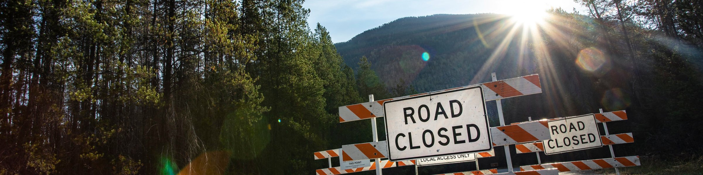 Road closed sign on forested road